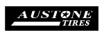 Logo austone